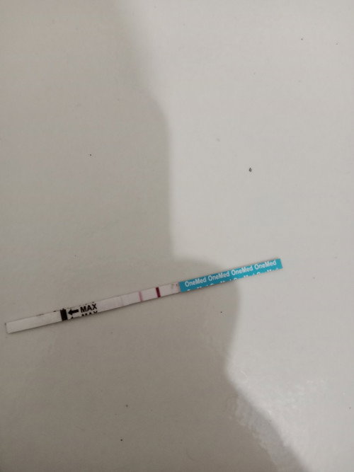 Apakah aku ini fositif hamil