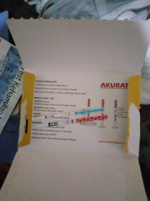 Bun apkh ini hamil