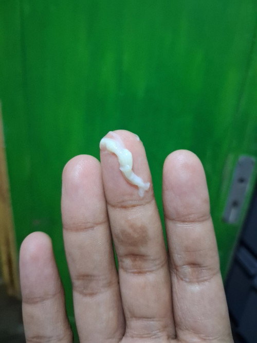 Maaf jorok