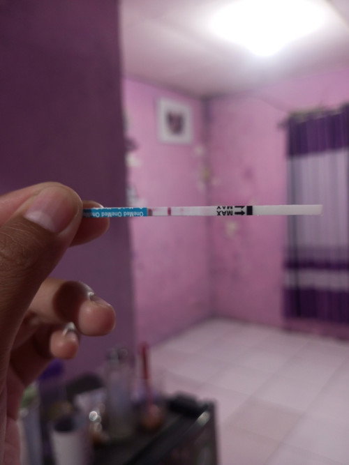Garis testpact samar