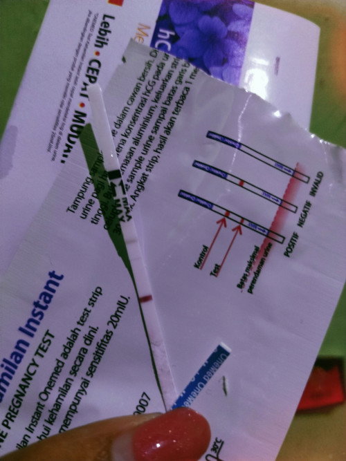 Tentang kehamilan