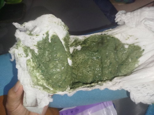 Pup anak berwarna hijau