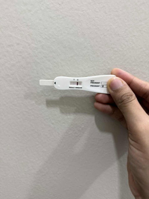 Pregnancy test