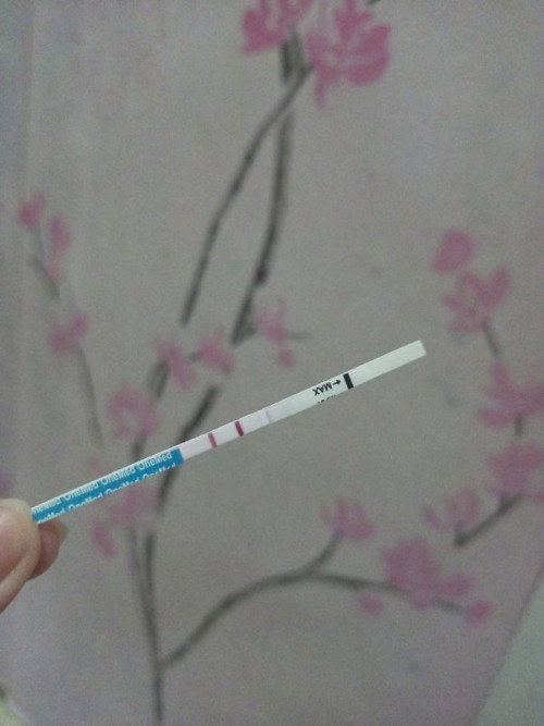 Hamil lagi