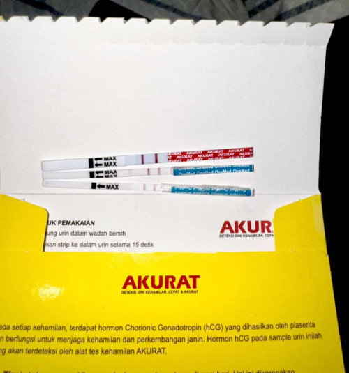 Hamil tidak yaa