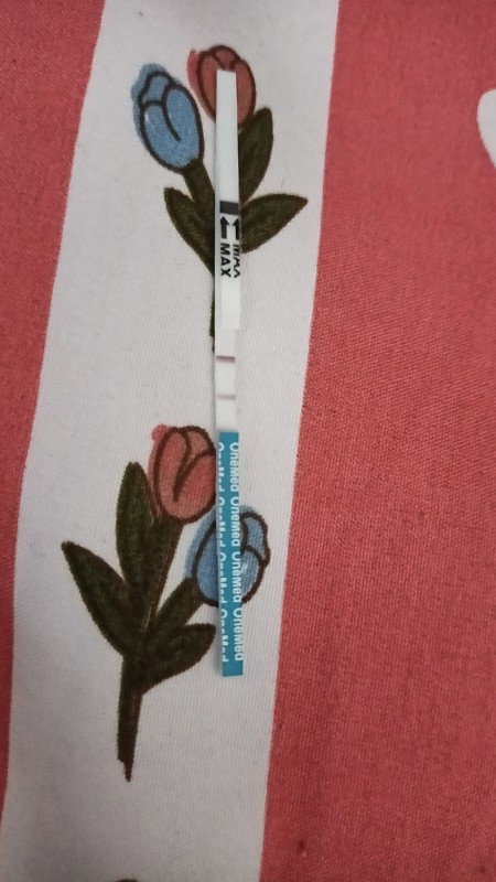 HPHT 11 mei 2026
