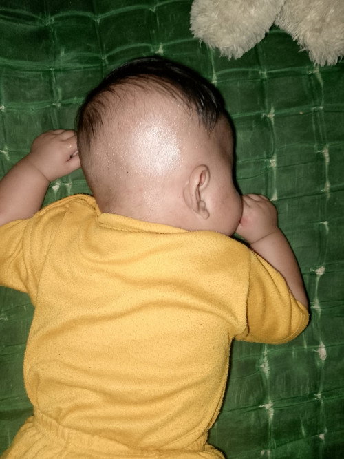 Penumbuh rambut