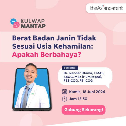 ⏰ KULIAH WHATSAPP AKAN DIMULAI!