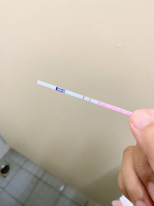 Nafsu makan aman dan tidak sembelit