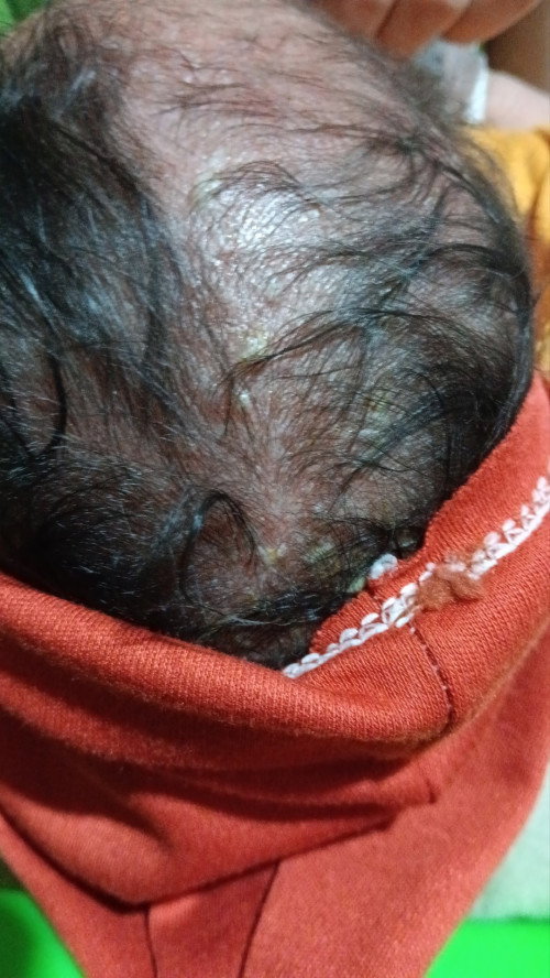 Baby newborn