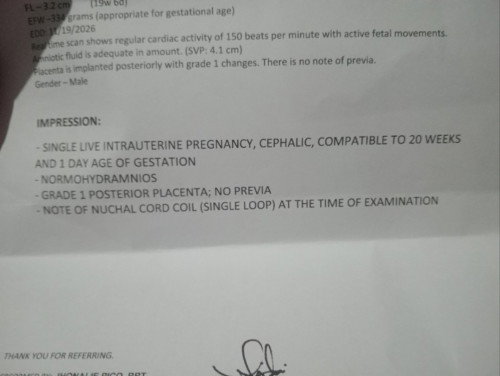 19weeks preggy