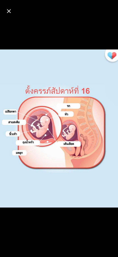 ตอนนี้น้อง 16 สัปดาห์แล้วจ้าา