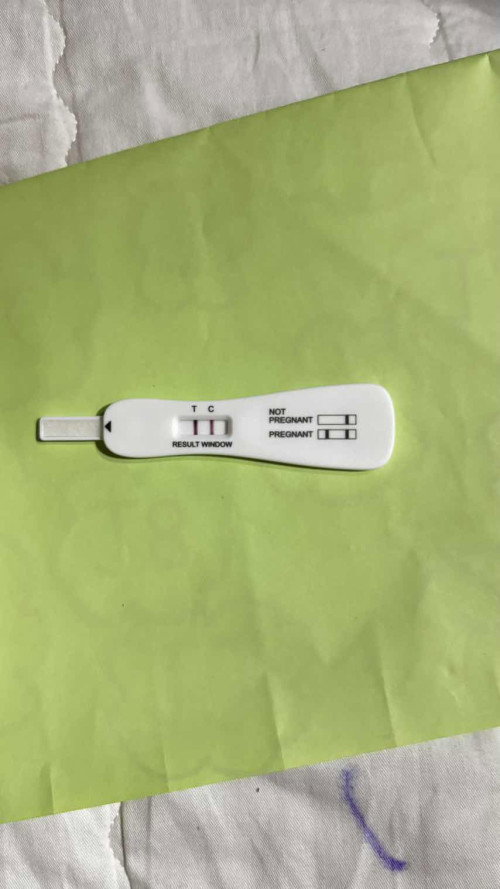 pregnancy test