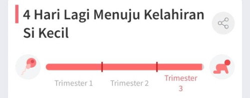 39minggu 4 hari, menuju 3 hari HPL