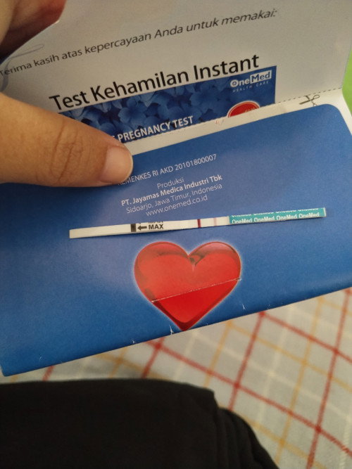 6minggu3hari