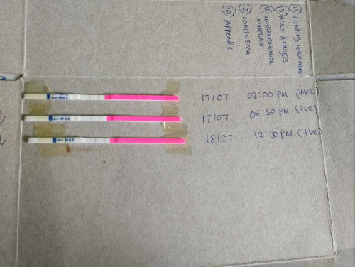 Siapa Pernah buat opk test boleh comment tak