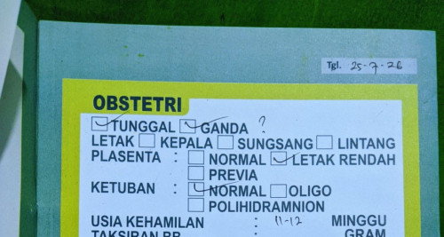 Usg terlihat 1janin tapi dokter curiga spt kembar karna ditengahnya ada sekat