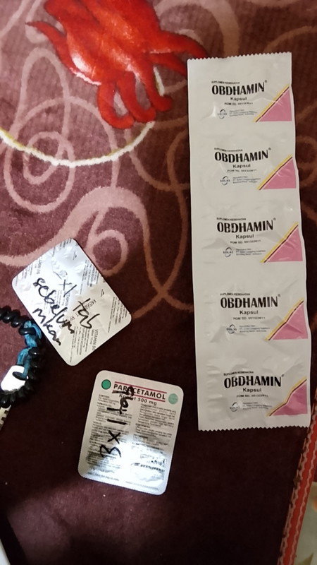 Obat untuk bumil tm 1