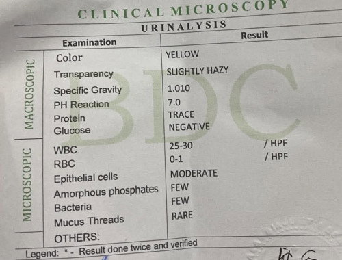 UTI po kaya ito dahil medyp mataas ang WBC sa UA?