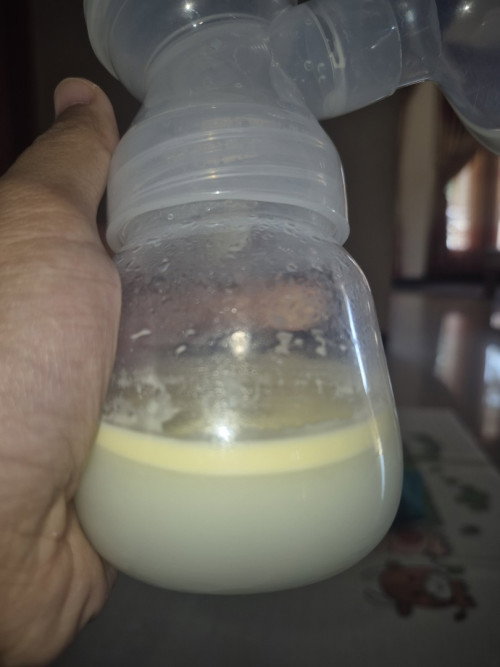 hindmilk atao foremilk