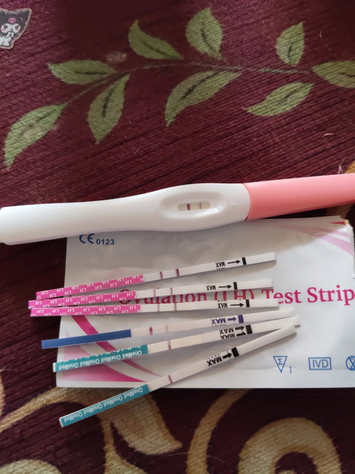 Semoga sehat sehat ibu dan bayiii 🤗😇