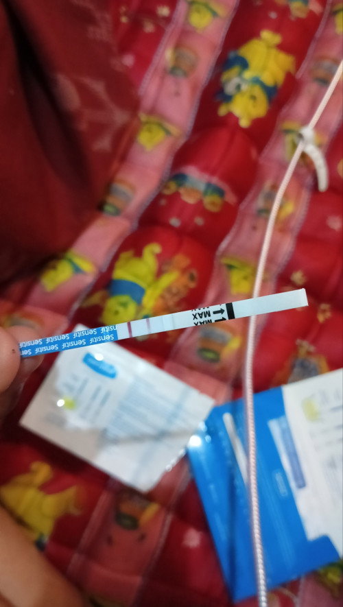 Usia kehamilan 7 Minggu