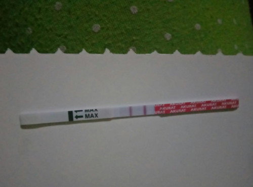 Hamil anak ke-2