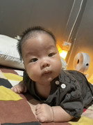 Post reply image