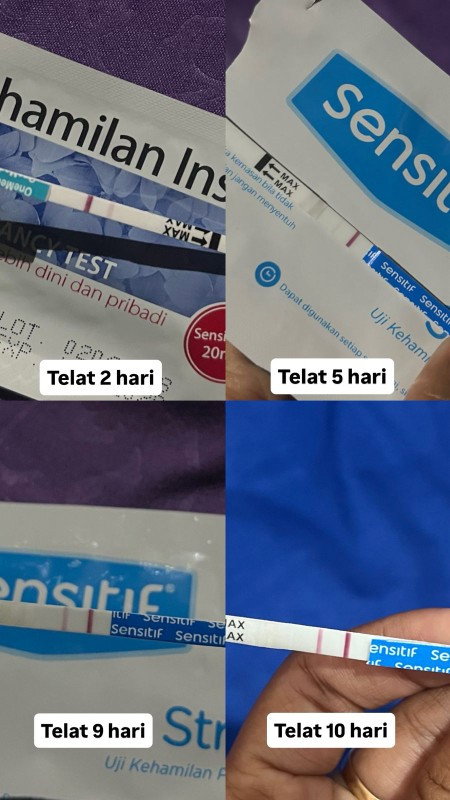 5 week 6 hari