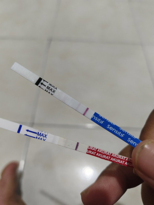 Ini beneran hamil?