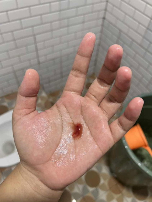 Hamil 40 minggu