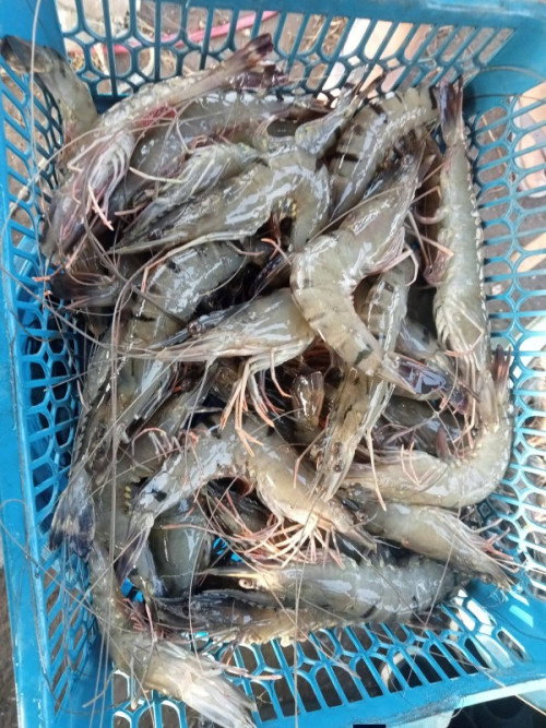 Bekerja lagi setelah anak 2 tahun