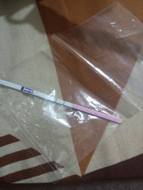 Tentang trimester pertama