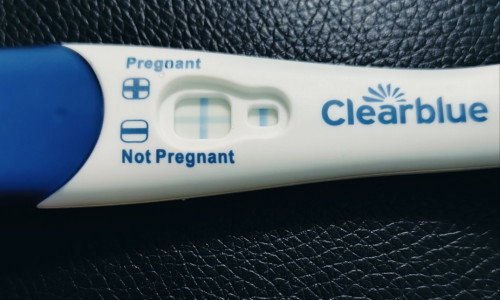 pregnant semula lepas ank 5 tahun