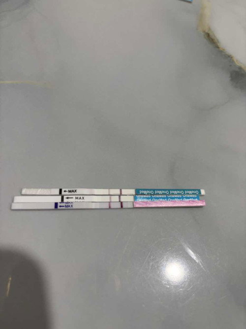 Ada yang sama gak bun hpht 11 agustus tapi perut agak kram sdikit ?