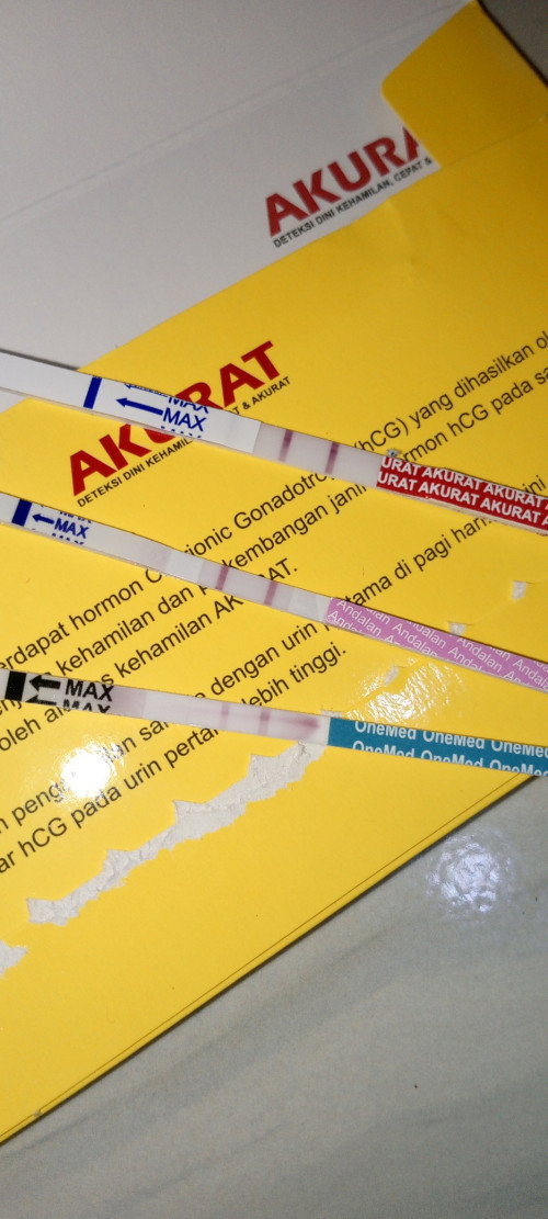 Hpht 1 Agustus