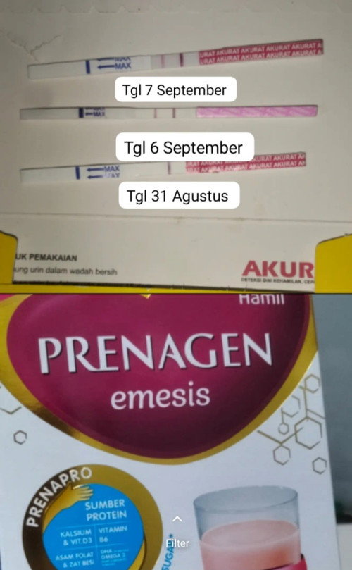 HPHT 29Juli 2026 sekarang apa kabar?