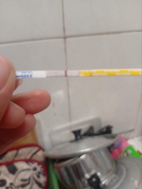 Ini negatif atau positif