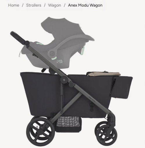 Anex stroller reviews for baby + toddler?