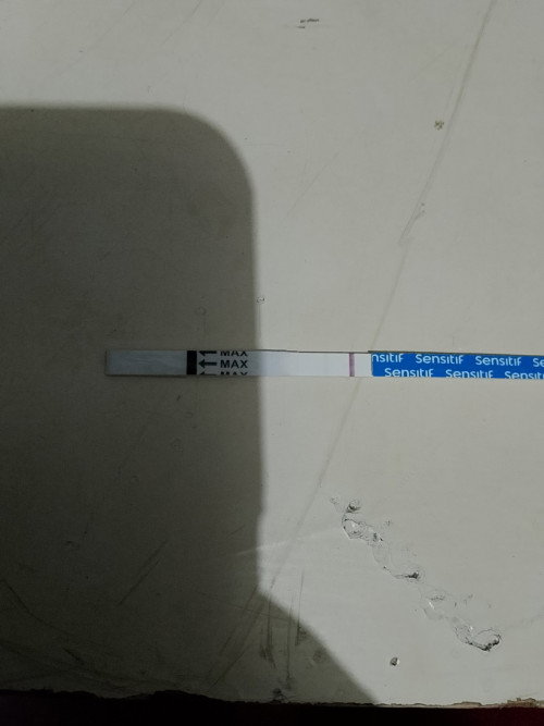 Apakah ini sudah bisa di katakan hamil soalnya samar