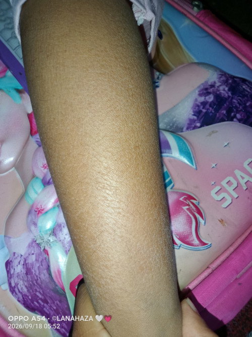 Kaki kering