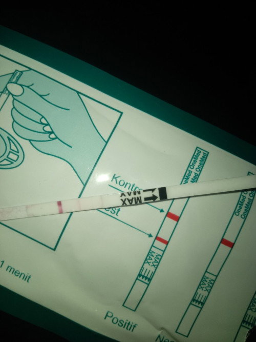 Apakah ini hamil??
