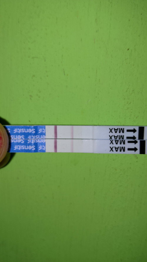 Telat haid 2 bln