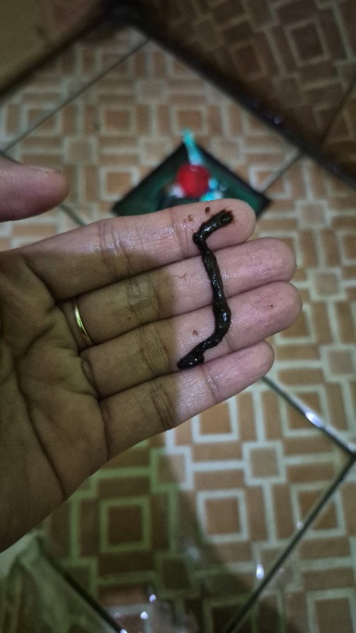 Hamil 6 minggu 3hari