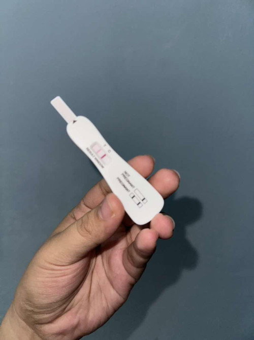 pregnant dan menyusu