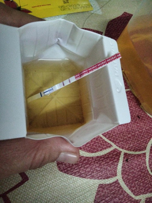 Testpack hari ini