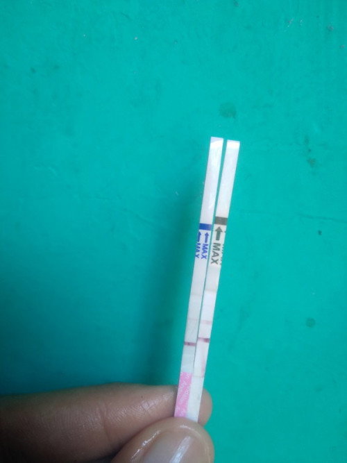 HASIL USG BELUM TERLIHAT APA APA