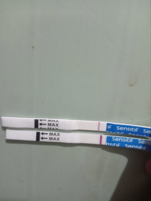 Telat haid