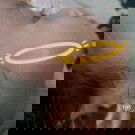 Ada yang tau ngilangin itu