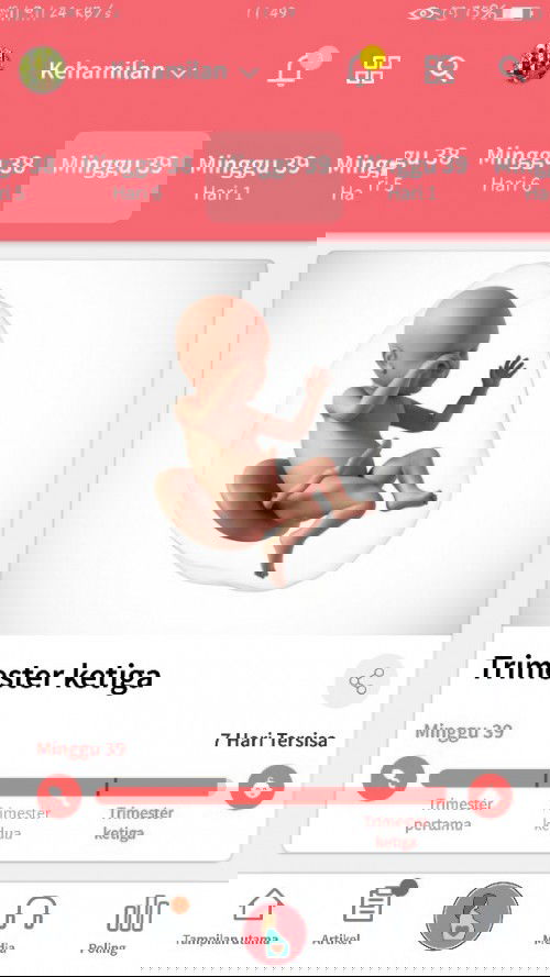 39week menunggu launching